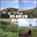 용눈이오름 주차장 | 제주도 동쪽 오름 추천 제주 용눈이오름 말 일몰 소요시간 주차장