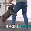 이유 이미지