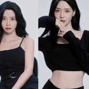 모던시크