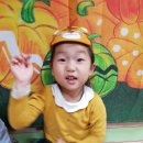 노리잼