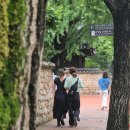 다락 가든 이미지