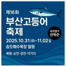 서구-02-16 | [바다먹캉스 폭발] 제16회 부산고등어축제 완전정복｜송도해수욕장 10/31(금)–11/2(일) 시간표·사전...