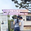 코딩과 함께 떠나는 역사여행 | 아이와 가볼만한곳 추천! 매향리 평화생태공원 무료 방탈출 &amp; 스탬프 투어 (ft. 탁 트인 전망대)