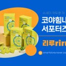 코야 이미지