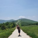 *운탄고도*2025년4월18일 영월ㆍ정선ㆍ태백ㆍ삼척 연계 대장정1000km종주 마감( 가리왕산 정상 비박 일출과 덕풍계곡 비박 트레킹) 이미지