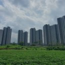 마지공인중개사사무소 이미지