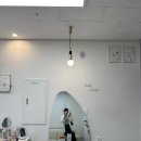 하주뷰티(HAJU Beauty) | [하남 미사 속눈썹펌] 하주뷰티&브로우ㅣ영양 가득 속눈썹 펌 솔직 후기!