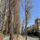 오금파출소 이미지