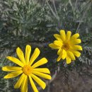 안산 식물원 이미지