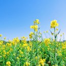 창녕군 남지시외버스터미널 이미지