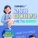세인트동물병원 네이버블로그