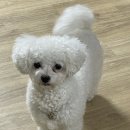 아이조아요양보호소 안양점 이미지