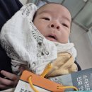 아산병원 (동관뒤) | 100일 미만 아기 서혜부탈장 수술 | 아산병원 2박3일 입원 | 소아응급실 | 입원준비물