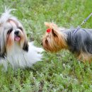 구름동물병원 이미지