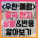 쏟아져 입국하는 "우한 폐렴 " 중국인들 이미지