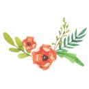 청년다방원평점 이미지