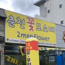 조은꽃 | 가성비 좋은 꽃집, 춘천 꽃도소매 조은꽃집 후기