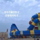 소로3-150 | 경주아이와가볼만한곳 추천 강동워터파크 성수기에도 대기 짧아 만족한 나들이
