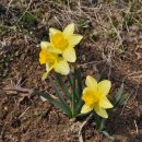 한덕농장 이미지