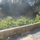 문산읍사무소 이미지