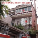 신선동-9 이미지