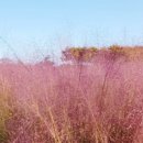 제이스테이 이미지