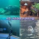 아라커피숍 - 부평구 장제로 216 | 경상남도 :) 사천 가볼 만한 곳 수족관 속 수영하는 하마를 볼 수 있는 아라마루 아쿠아리움