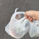 협재올레 | 제주 서쪽 레전드 맛집, 한림 협재 회포장 현지인 추천 가성비 좋은 [옹포횟집 제주한림협재본점] 후기