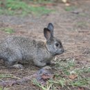 삼다호스텔 이미지