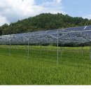 월평태양광발전소 이미지