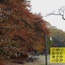 88다방 이미지