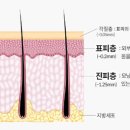 헤드샷스칼프제이닷