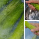 오이깍두기 이렇게 끝까지 아삭아삭 맛있게 이미지