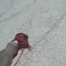 부자탕 이미지