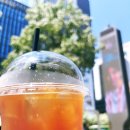 토스타토스트 이미지