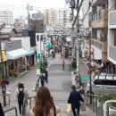 고양이마을 이미지