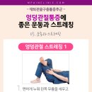 관골 이미지