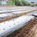 기찬농장 이미지