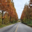 전남권환경성질환예방관리센터 | 보성 웰니스관광 숲체험_제암산자연휴양림 전남권환경성질환 예방관리센터