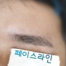 인형눈썹