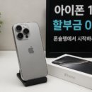 폰슐랭라이언인형 네이버블로그