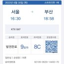 6월 다섯째 주 주간일기