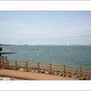 삽교호 관광지 이미지