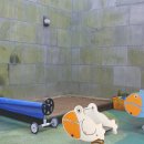 하늘꿈대전어린이집 이미지