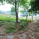 평창자연휴양림 이미지