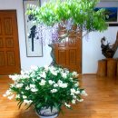 천왕산가든 이미지