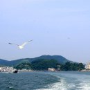 통영유람선터미널 이미지