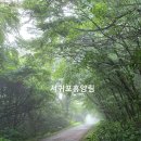 자연과힐링 | 서귀포 숙소 추천, 제주 자연휴양림 숙박후기(힐링+가성비)