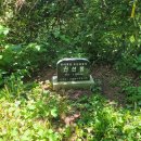 도래기재 이미지