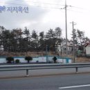 제주 조천읍 펜션(단독주택형 5동) - 제주도부동산 제주부동산 경매 이미지